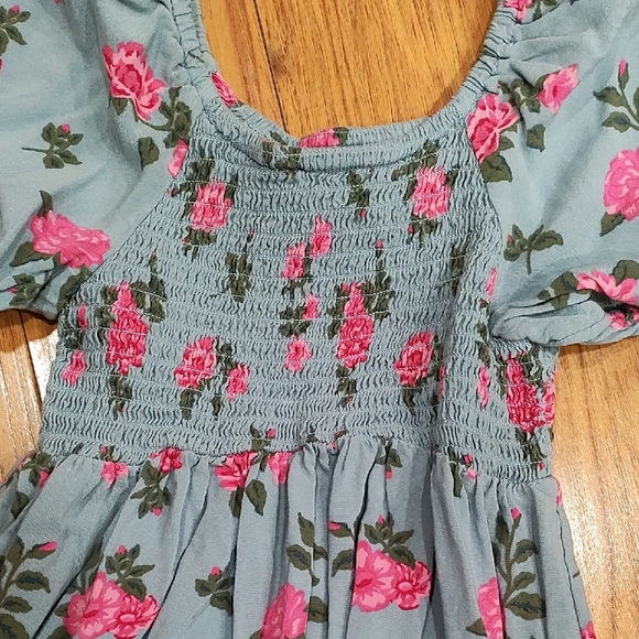 The Children's Place Blue and Pink Floral Dress - Picture 5 of 5